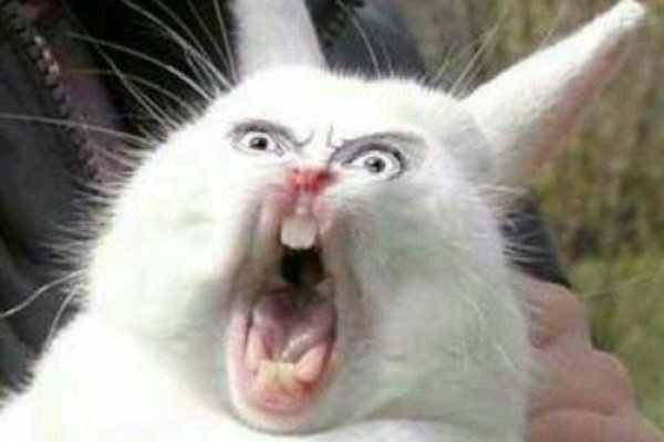 Ссылки зеркала на kraken