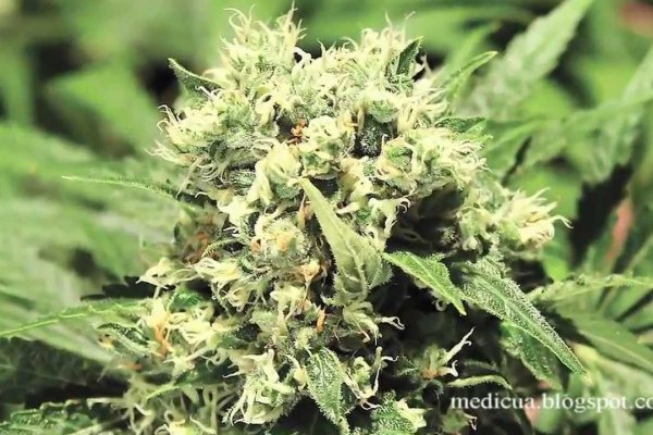 Нарко магазин кракен